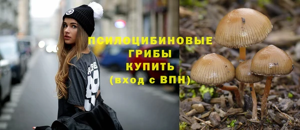 крисы Сясьстрой