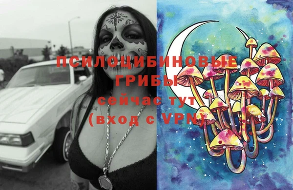 mix Тайга