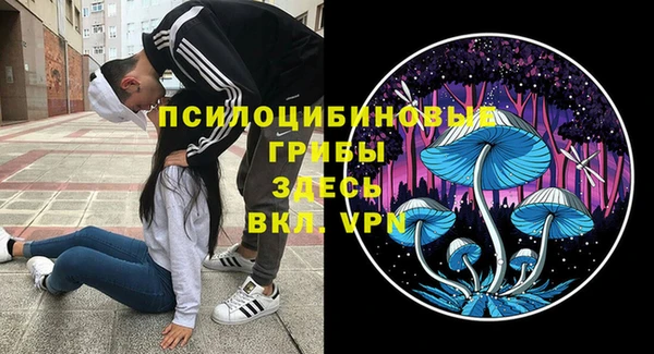 крисы Володарск