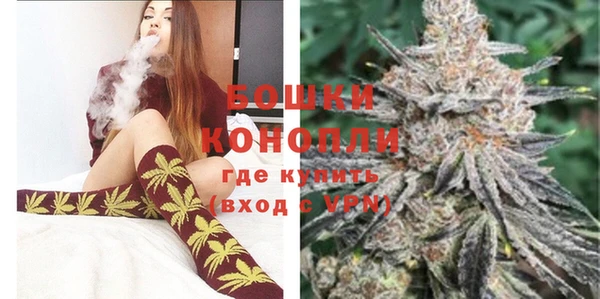 крисы Сясьстрой