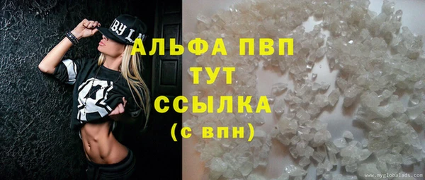 крисы Сясьстрой
