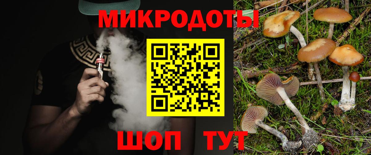 Галлюциногенные грибы Cubensis Мариинск